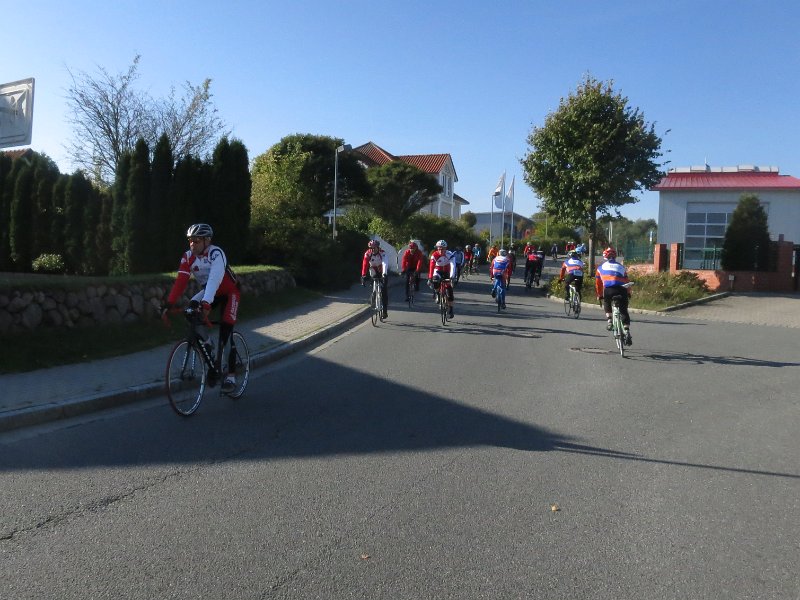 RTF Almabtrieb 119